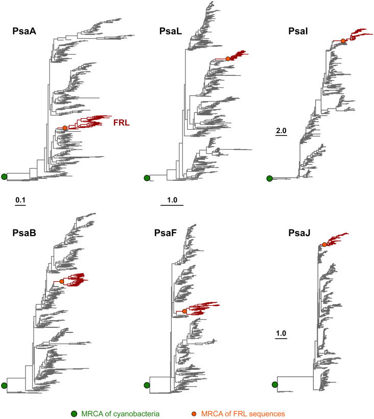 Figure 2