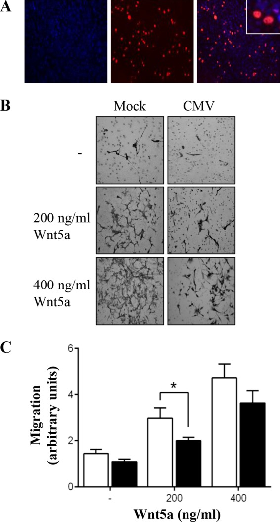 FIG 1