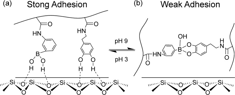 Scheme 3