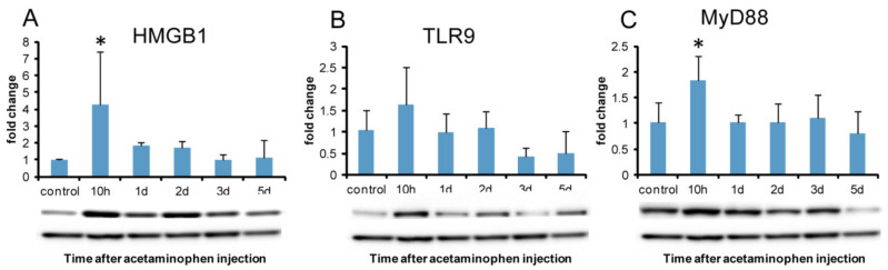 Figure 11