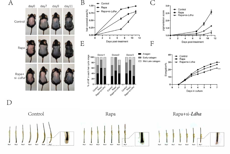 Fig. 7