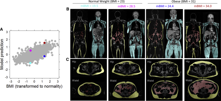 Figure 3