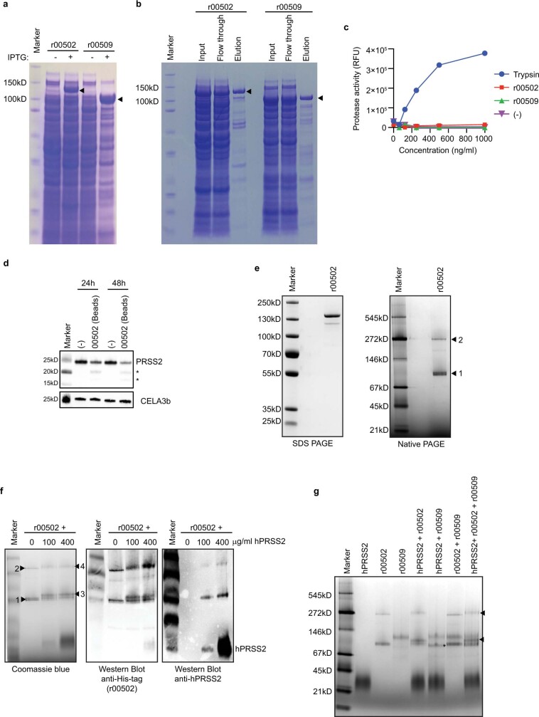 Extended Data Fig. 7