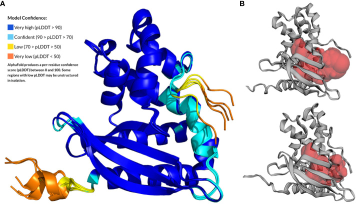 Figure 1