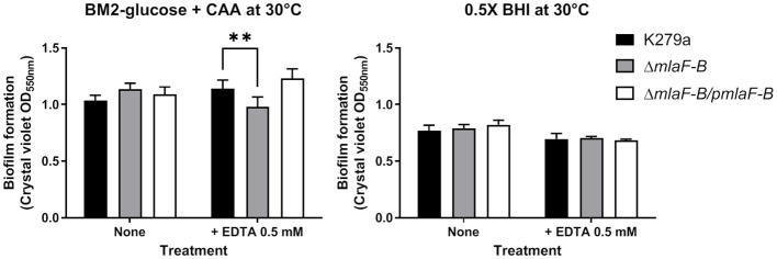 Figure 5