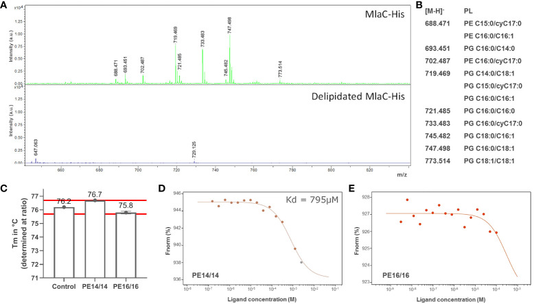 Figure 2