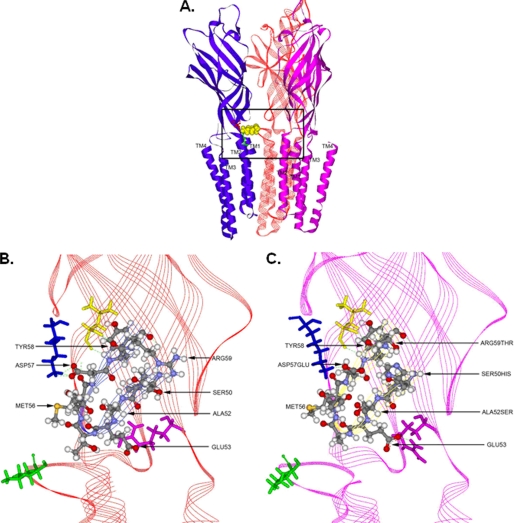 FIGURE 10.