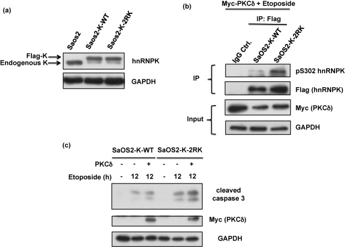 Figure 9.