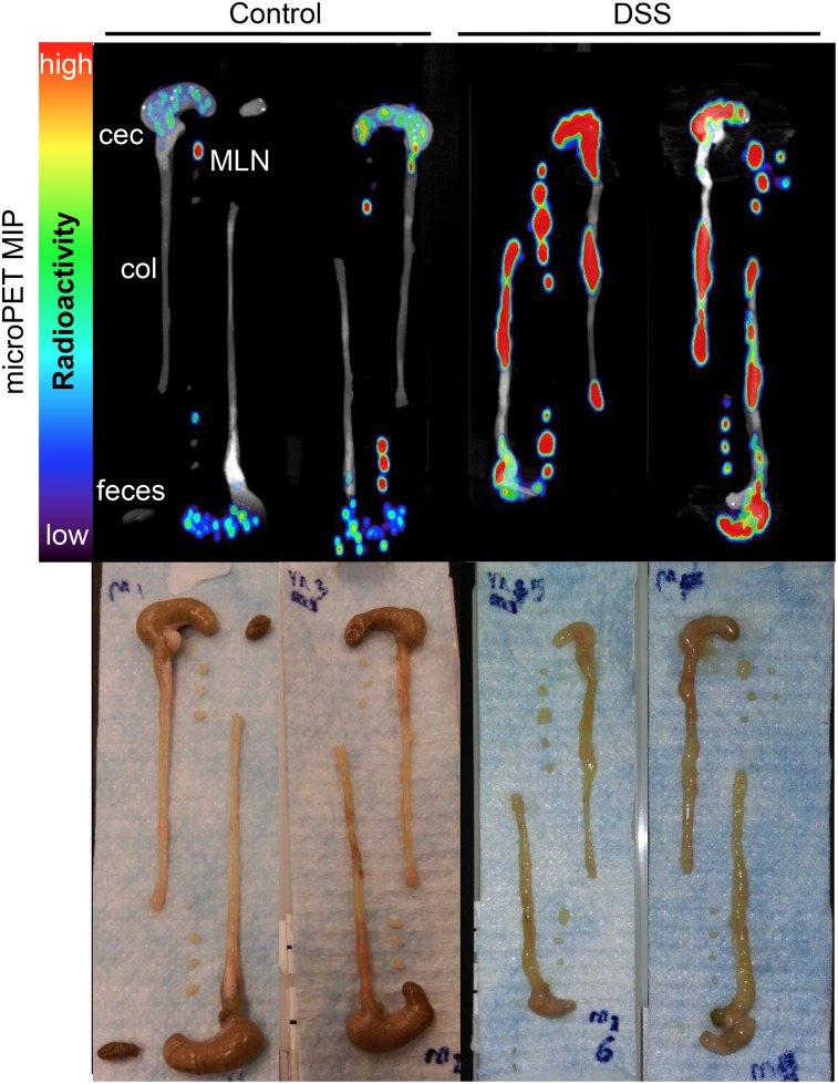 FIGURE 4.