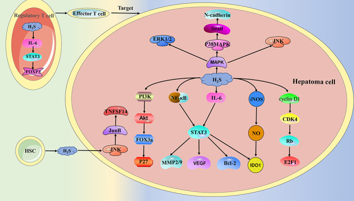 FIGURE 2