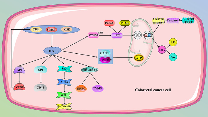 FIGURE 3