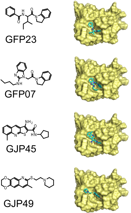 FIG. 2.