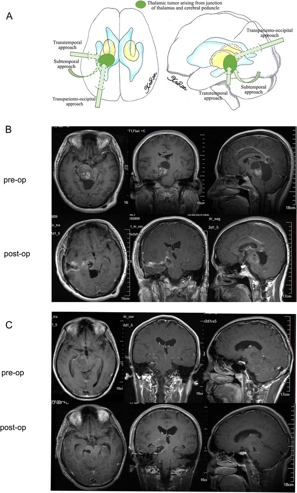 Fig. 5