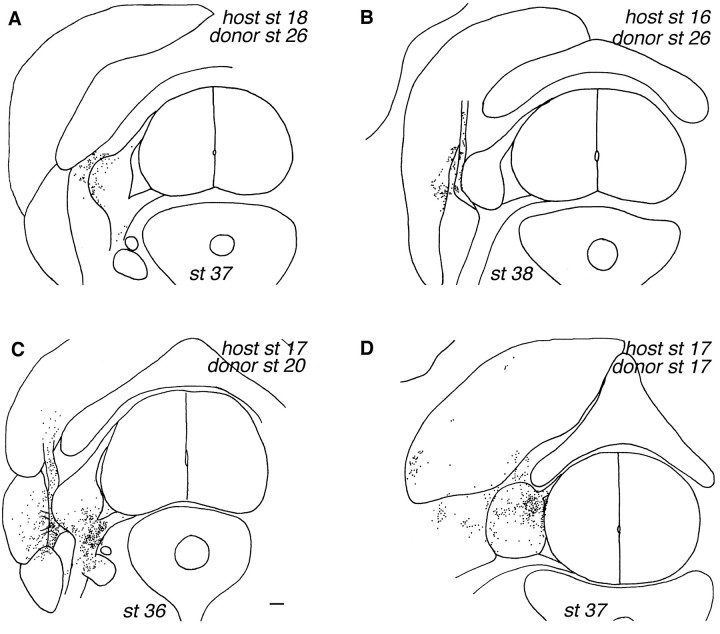 Fig. 6.