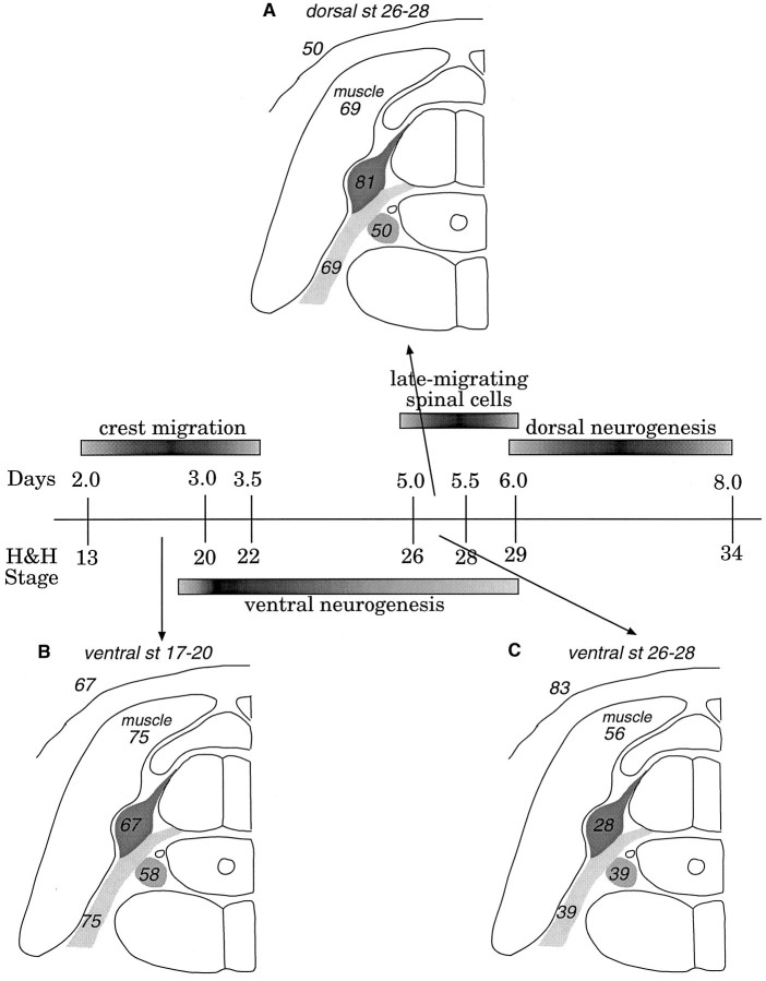 Fig. 8.