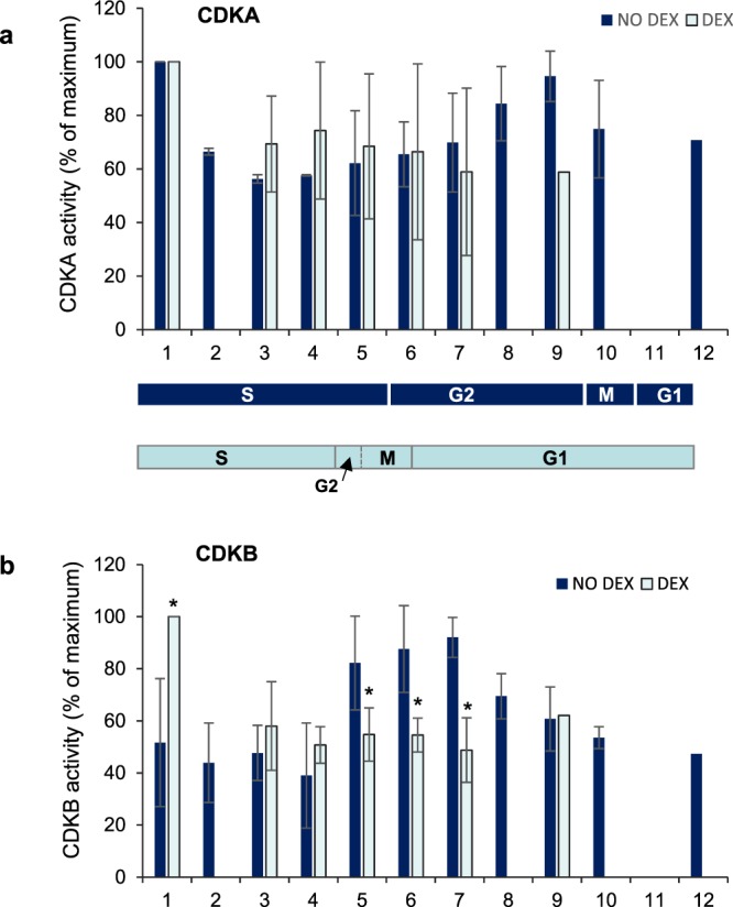 Figure 7