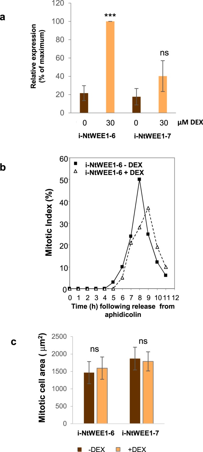 Figure 9