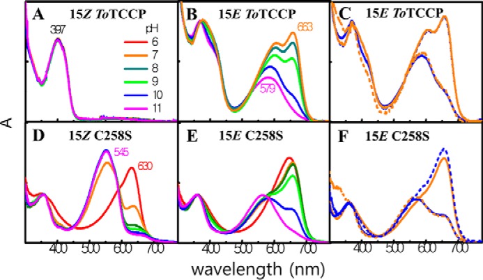 Figure 6.