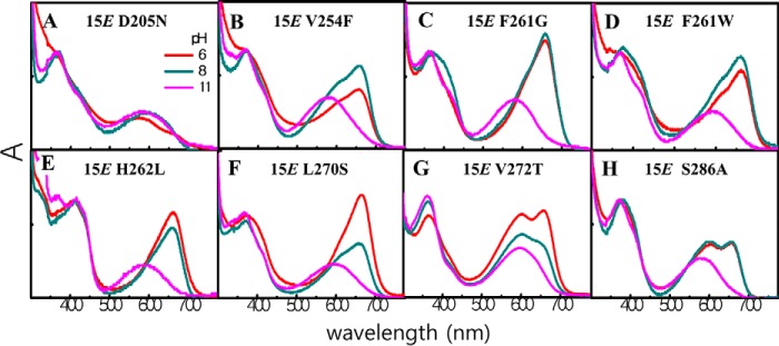 Figure 7.