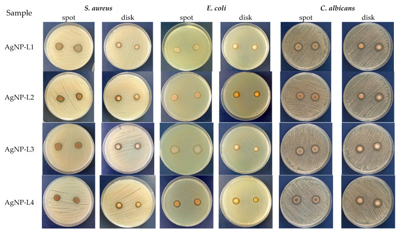 Figure 10