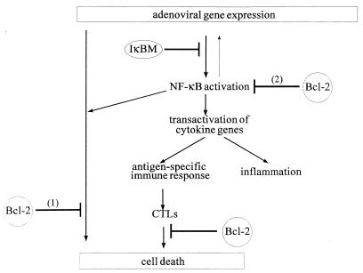 FIG. 7