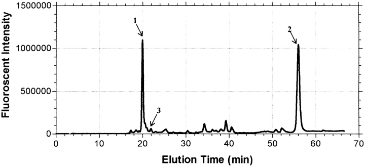 Fig. 11.