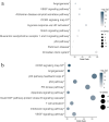 As the bubble gets bigger, the percentage of target genes increases. The x-axis gives odds ratio from Fisher’s Exact tests.