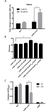 Fig 5
