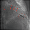 Figure 4: