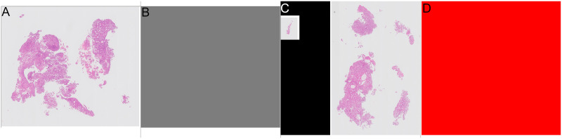 Fig 2