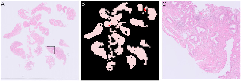 Fig 15