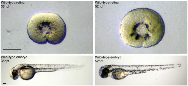 FIG. 3