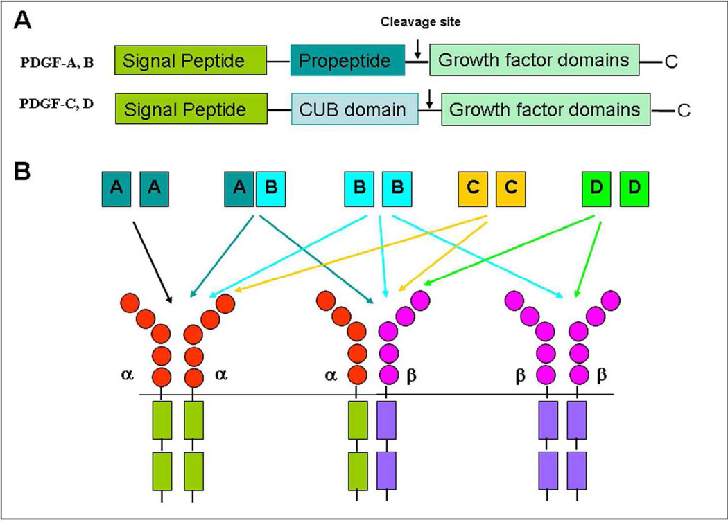 Figure-1