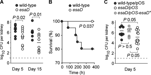 FIG. 5.