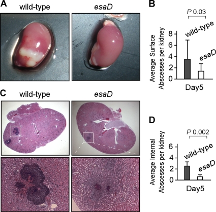 FIG. 6.