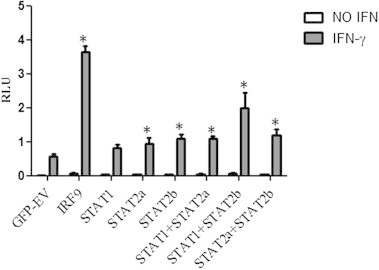 Fig. 11