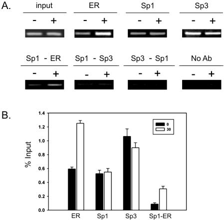 Figure 11.