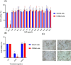 (A) Bar chart showing cell viability percentages of MA104 and C2BBe1 cells exposed to varying concentrations of BaP, with a key indicating MA104 cells in blue and C2BBe1 cells in red. (B) Bar chart depicting cell viability for the same cell lines treated with CC, H2O2, and MNTC. (C) Microscopic images displaying CC-treated and BaP-treated MA104 and C2BBe1 cells, highlighting differences in cell morphology. CC, Cell control untreated.