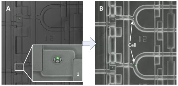 Fig. 3