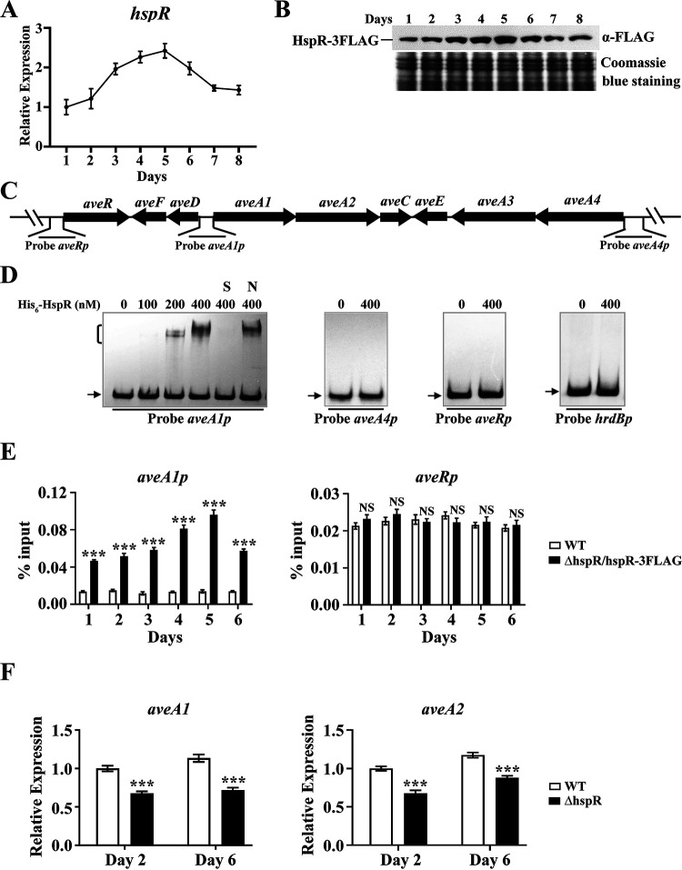 FIG 2