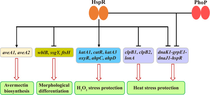 FIG 10