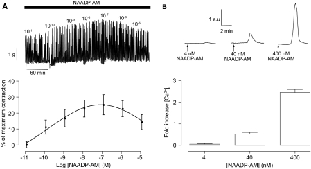 Fig. 4.