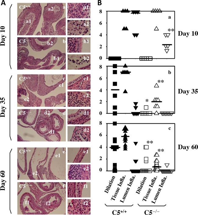 FIG 6