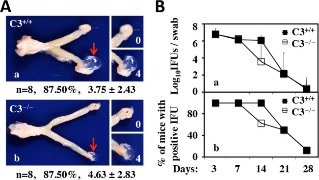 FIG 2