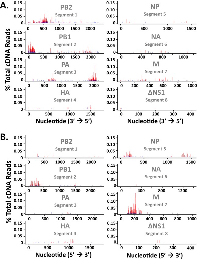 FIG 6