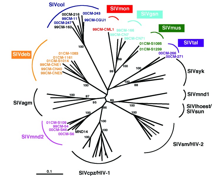 Figure 2