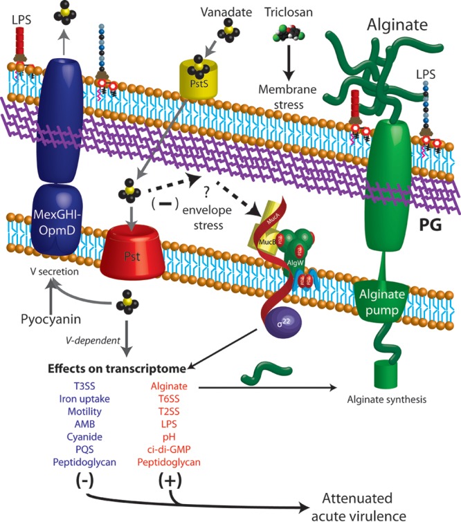 Fig 6