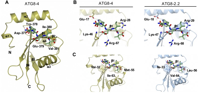 Fig 4