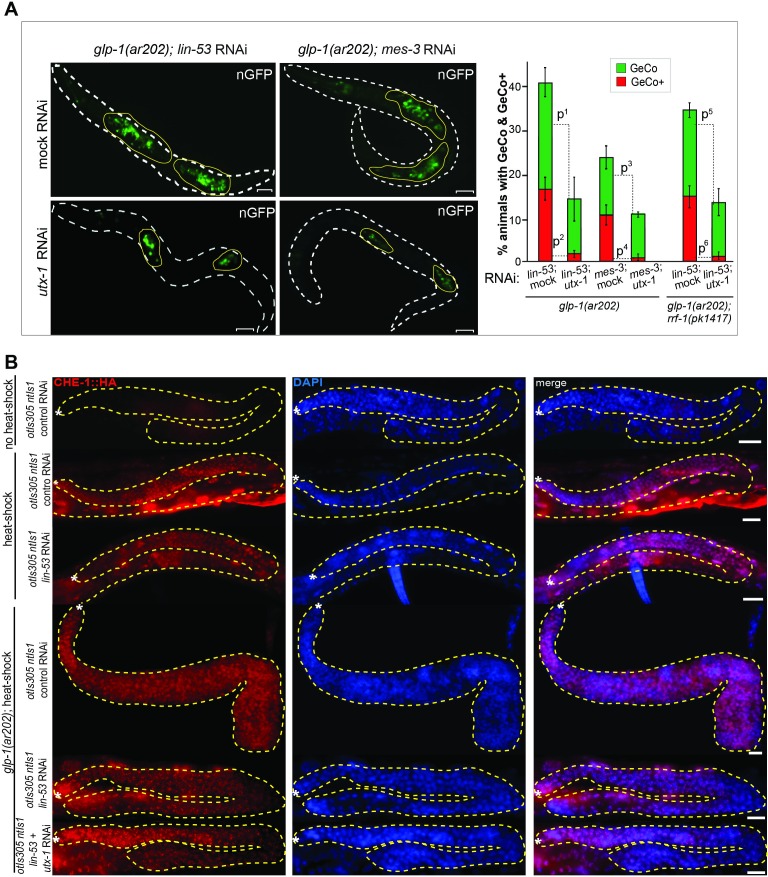 Figure 4—figure supplement 1.