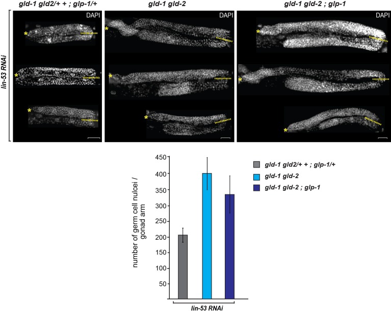 Figure 1—figure supplement 2.